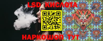 спайс Кандалакша