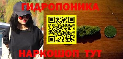 наркотики Камышлов